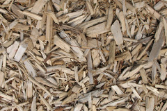 biomass boilers Rhostyllen
